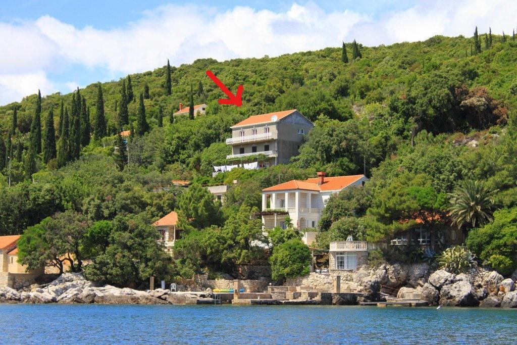 Apartments Antunovic Molunat Kültér fotó